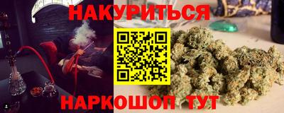 мдпв Бердск