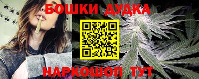 мдпв Бердск