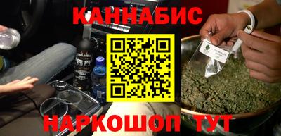мдпв Бердск