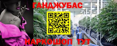 мдпв Бердск