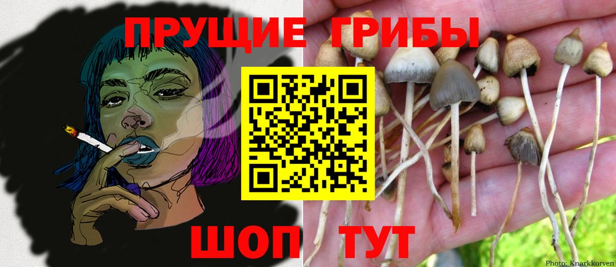 Галлюциногенные грибы Magic Shrooms  Вход с VPN  наркотики  Нижний Тагил 